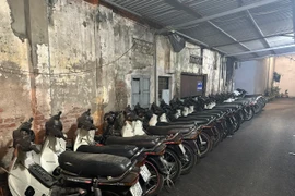 Triệt phá đường dây chuyên trộm xe Honda Dream trên địa bàn Hà Nội