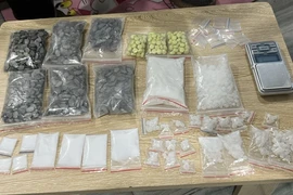 Từ những hộp bánh... lộ "tổng kho" ma tuý 