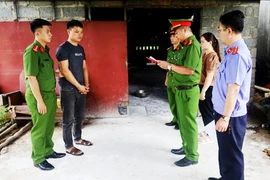 Thu gom lợn nhiễm bệnh rồi mang đi tiêu thụ