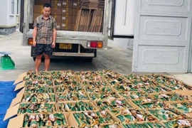 Phát hiện, thu giữ hơn 5,3 tấn chân gà “bẩn” sắp tuồn ra thị