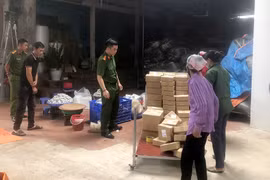 Cảnh báo trà túi lọc sử dụng nguyên liệu không rõ nguồn gốc