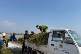 Giúp nhân dân "chạy đồng", lực lượng Công an ngâm mình trong nước