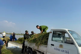 Giúp nhân dân "chạy đồng", lực lượng Công an ngâm mình trong nước