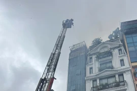 Xử lý nhanh đám cháy tại nhà dân trên đường Giải Phóng