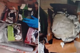 Công an Hà Nội triệt phá đường dây vận chuyển gần 1 tạ ma túy 