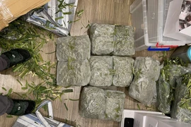 Bắt 10 đối tượng mua bán hơn 200 kg cần sa bằng tiền ảo