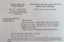 Công ty nhôm Phương Đông bị phạt 215 triệu đồng