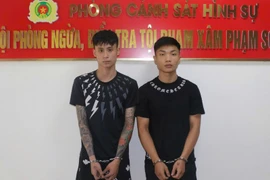 Cảnh sát hình sự bắt nhóm đối tượng liên tiếp cướp giật 