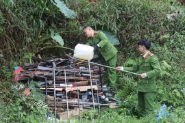 Thu giữ và tiêu hủy 304 khẩu súng cất giấu trái phép