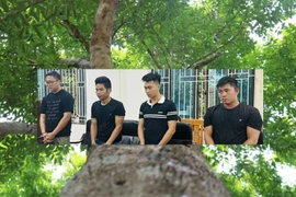 Nhập lậu hàng nghìn cây dó bầu từ Trung Quốc về Việt Nam