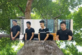 Nhập lậu hàng nghìn cây dó bầu từ Trung Quốc về Việt Nam