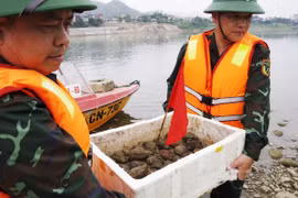 Trục vớt 26 vật nổ tồn sót sau chiến tranh dưới lòng sông Đà