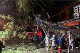 Kịp thời tổ chức cứu nạn, cứu hộ trên địa bàn xã Phúc Thịnh