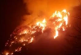 Huy động lực lượng khống chế cháy rừng tại Vườn quốc gia Ba Vì