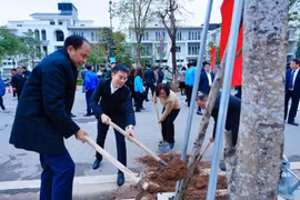 Quận Tây Hồ phát động Tết trồng cây hướng tới đô thị xanh, bền vững