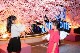 Cảm xúc đáng nhớ tại “Ice cũng Tết có Tết 2025 – như hoa mùa Xuân”