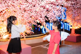 Cảm xúc đáng nhớ tại “Ice cũng Tết có Tết 2025 – như hoa mùa Xuân”