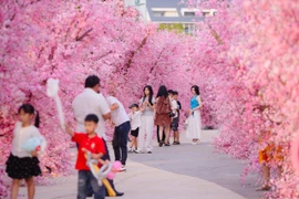 Hàng nghìn lượt khách dự sự kiện "Ice cũng có Tết 2025" tại Meyhomes Capital Phú Quốc