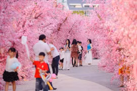 Hàng nghìn lượt khách dự sự kiện "Ice cũng có Tết 2025" tại Meyhomes Capital Phú Quốc