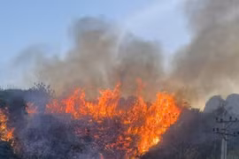 Người dân đốt cỏ dọn vườn gây cháy lan sang khu vực đồi Vàng, tỉnh Hòa Bình