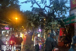 Công an phường Tây Hồ kịp thời xử lý sự cố ảnh hưởng đến giao thông sau mưa giông