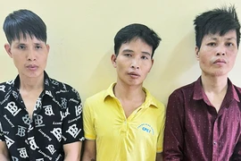 Bắt 3 đối tượng cắt trộm cáp điện tại khu công nghiệp Quang Châu