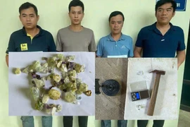 Lừa đảo bán đá quý giả trên nền tảng TikTok