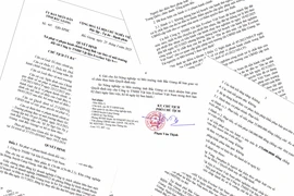 Xử phạt 175 triệu đồng đối với Công ty TNHH Vật liệu Everlast Việt Nam