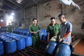 Khởi tố chủ cơ sở bán hơn 60 tấn giá đỗ 'ngậm' chất kích thích ra thị trường