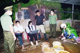 Ngăn chặn số lượng lớn thịt mắc dịch tả lợn châu Phi chuẩn bị tiêu thụ