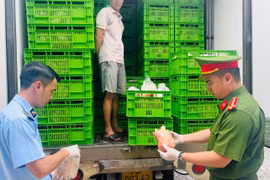 Phát hiện khoảng 20 tấn gà “bẩn” sắp tuồn ra thị trường