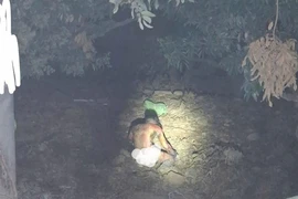 Chập cháy tại trạm biến áp, một người bị bỏng nặng