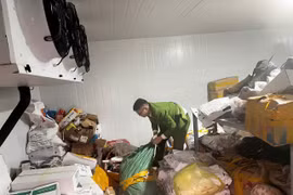 Lực lượng Cảnh sát kinh tế Công an Hà Nội phát hiện gần 3 tấn thực phẩm đông lạnh