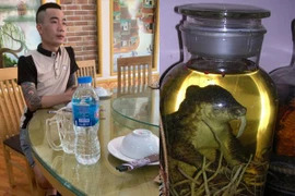 Khởi tố quản lý nhà hàng buôn bán trái phép động vật hoang dã