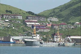 Nga bắt giữ tàu cá Nhật Bản nghi đánh cá trái phép