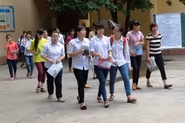 Thiếu vắng điểm tối đa trong tốp 100 thí sinh cao điểm nhất ĐH, CĐ