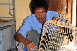 10 chim sáo "tiếp sức" giấc mơ thi đại học