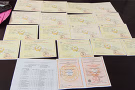 Phát hiện cả chục trang mạng giả mạo Bộ GD-ĐT rao bán bằng giả