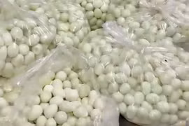 Hà Nội đề nghị xử lý nghiêm vụ việc thực phẩm có mùi ôi thiu vào trường học