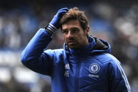 Cựu HLV của Chelsea đến thử sức tại Nga