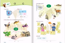 Sách Tiếng Việt lớp 1 bị chê tả tơi, Bộ GD-ĐT yêu cầu Hội đồng thẩm định báo cáo