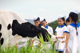 Rạng rỡ vươn cao Việt Nam