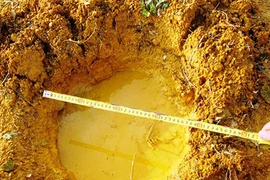 Voi rừng phá vườn nhà dân giữa đêm