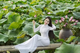 Hoa hậu Áo dài Biển Việt Nam Dương Kim Ánh đẹp thuần khiết bên hoa sen