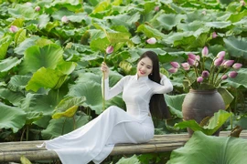 Hoa hậu Áo dài Biển Việt Nam Dương Kim Ánh đẹp thuần khiết bên hoa sen
