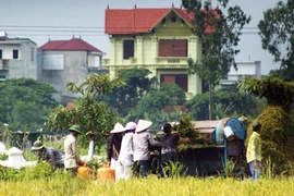 Huy động cả hệ thống chính trị vào cuộc 