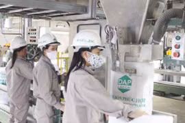Đề xuất áp thuế giá trị gia tăng 5% với mặt hàng phân bón