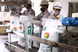 Chưa điều chỉnh thuế suất thuế xuất khẩu mặt hàng phân bón