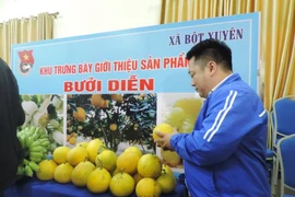 Gỡ khó cùng thanh niên trong tham gia chương trình OCOP