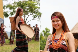 "Hoa rừng" Tây Giang khoe sắc giữa lòng Hà Nội